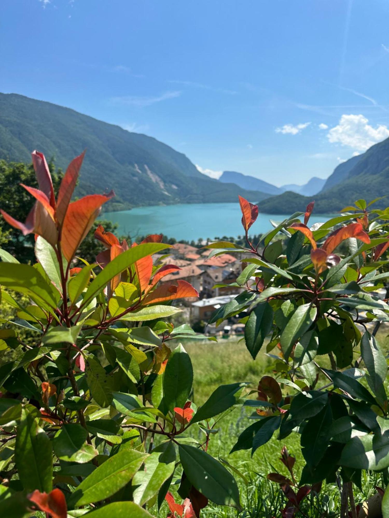 Villa La Dama Del Lago โมลเวโน ภายนอก รูปภาพ