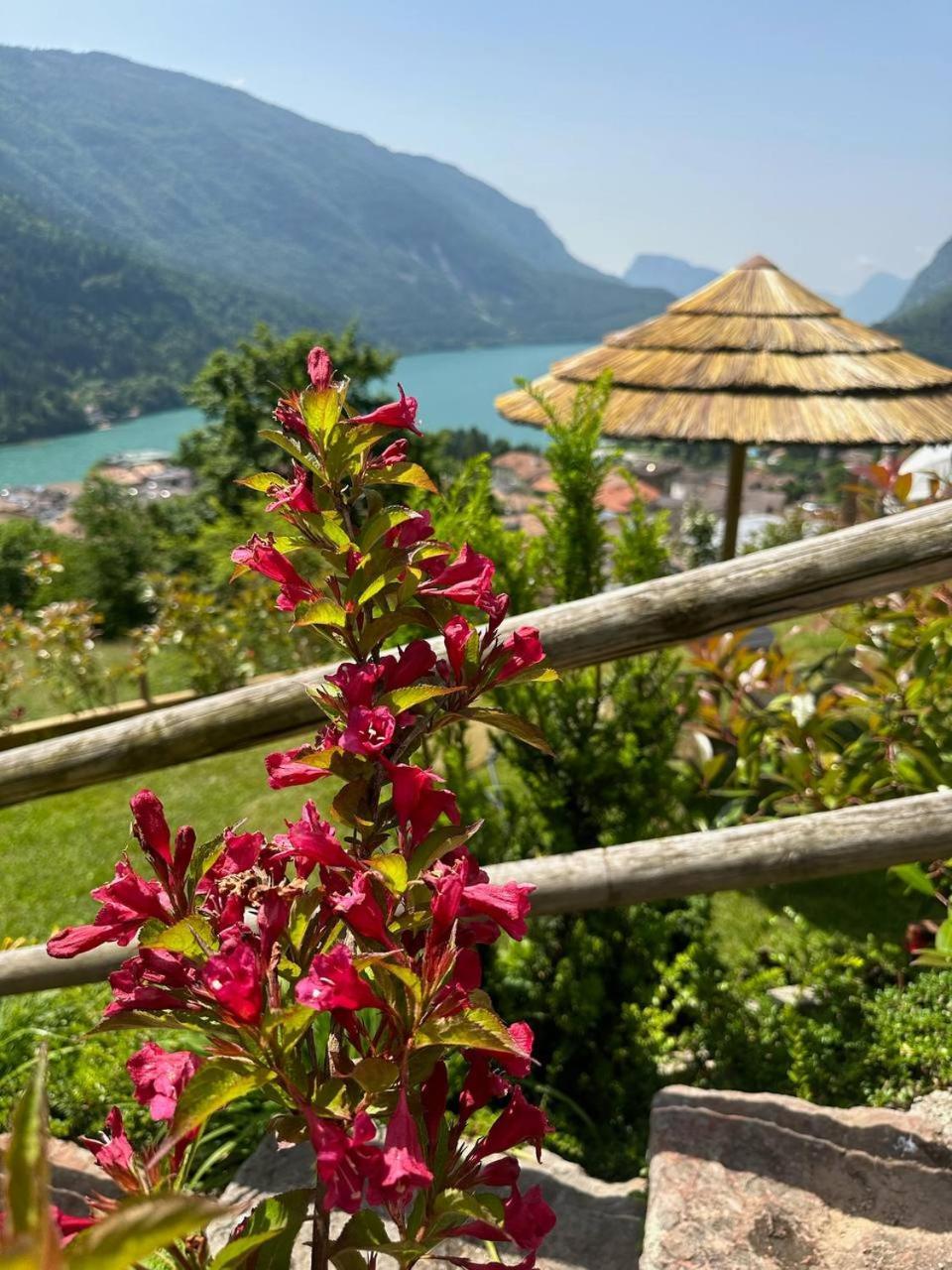 Villa La Dama Del Lago โมลเวโน ภายนอก รูปภาพ
